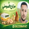 Mohamed
